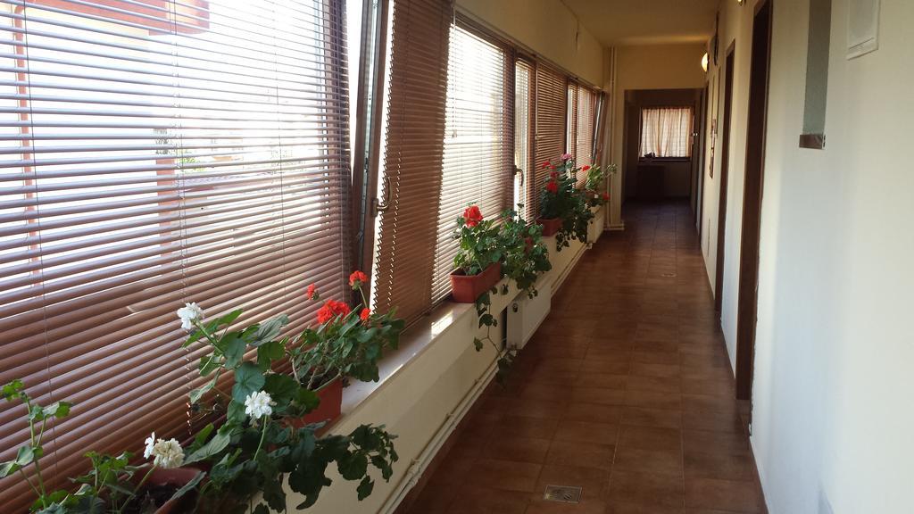 Hostel Nova Route Năvodari Kültér fotó